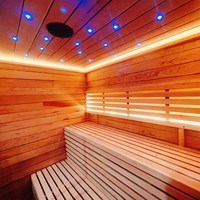 Ruang Sauna Uap Luar Ruangan Modern Berkualitas Tinggi dan Nyaman dengan Inframerah dan Shower untuk 6 Orang