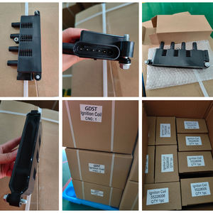 Bobina de Encendido Personalizada GDST con Garantía de Un Año, OEM 1208706 90506102, Precio de Fábrica, Fabricante y Proveedor, para <span class=keywords><strong>Opel</strong></span> - Product Image 4