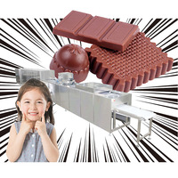 Machine de fabrication de pâtisseries, 1000g, petites haricots de cacao, lièvre, barre de chocolat, pâte, traitement de amélioration, rectifieuse