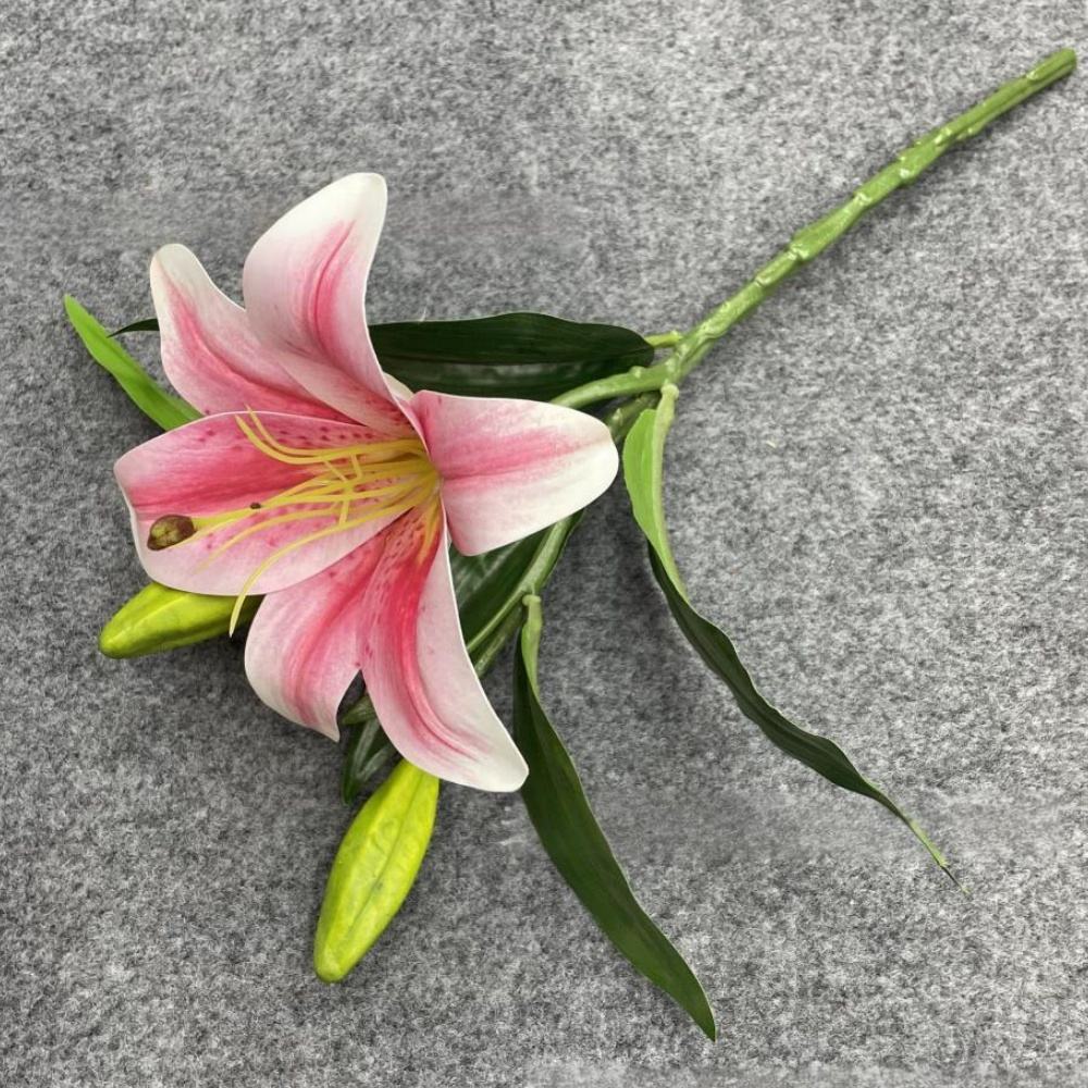 หมายเลข 2