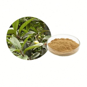 Natural Loquat Leaf Extract P.E Folia Eriobotryae Extract Powder - Product Image 1