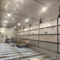 Ampoule LED 48-220V pour l'éclairage des fermes avicoles - Économie d'énergie et faible émission de chaleur pour les cages à poulets et les bâtiments d'élevage