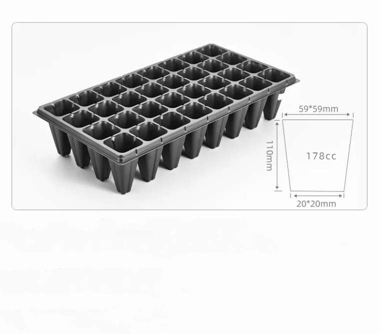 32cell Noir
