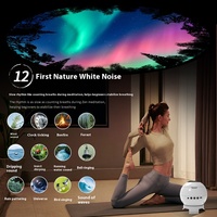 Projecteur d'étoiles capsule spatiale personnalisé, veilleuse LED HD avec télécommande, alimentation par piles ou secteur, lampe à bruit blanc moderne pour chambre à coucher