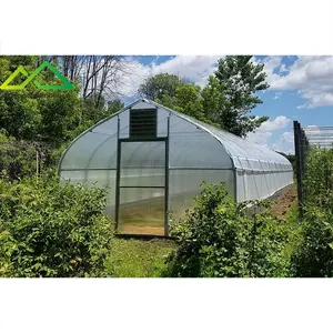 Commercial Tomato Greenhouse High Strength Metal Frame agricultural greenhouses tunneling