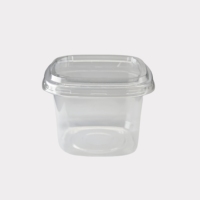 Emballage jetable écologique de qualité Sulide 16oz 500ml pp personnalisé tasse à dessert en plastique carrée avec couvercle