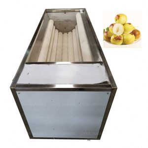 Máquina Descontaminadora de Duraznos Más Vendida, Máquina Descontaminadora de Ciruelas y Cerezas, Máquina Limpiadora de Albaricoques - Product Image 2