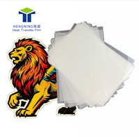Film PET de transfert thermique DTF 30cm 33cm 60cm avec pelage à froid, simple face et double face, format A3
