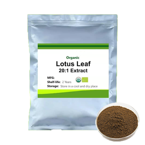 Alta Qualidade 2% Nuciferina Premium Food Grade Herbal Extrato Extrato De Folha De Lótus Orgânico Em Pó Extrato De Plantas Naturais - Product Image 2