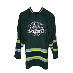 Jersey de hockey sobre hielo práctica aparejos bordados sarga sublimada equipo personalizado nombre Número logotipo uniforme de hockey sobre hielo antibacteriano - Product Image 1