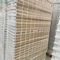 Panneau sandwich métallique isolé thermiquement pour salle blanche, système de cloison modulaire léger, 100 kg, haute qualité, design moderne
