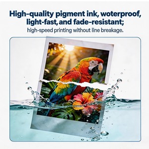 Cartucho de Tinta Compatible de Primera Calidad INK-TANK LC572 LC572XL <span class=keywords><strong>572</strong></span> para Impresora Brother MFC-J3660DW J3960DW - Product Image 2