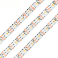 Bande LED adressable RGBW SK6812 avec télécommande pour éclairage de jardin, blanc chaud 3000K, 5M de longueur, noir, certifié EMC IP65