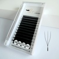 Extensions de cils pré-faits en éventail en forme de U 2D/3D/4D/5D, cils en W, cils croisés parallèles, courbures CC D L M, cils YY