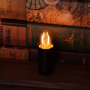 หลอดไฟ LED ขนาดเล็ก T22 ขั้ว E14 12-24V แสงวอร์มไวท์ สำหรับตกแต่งงานนิทรรศการ - Product Image 2