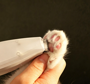 <span class=keywords><strong>Tondeuse</strong></span> à poils pour animaux de compagnie rechargeable à faible bruit, nouvelle <span class=keywords><strong>tondeuse</strong></span> électrique <span class=keywords><strong>sans</strong></span> <span class=keywords><strong>fil</strong></span> pour animaux de compagnie, tondeuses professionnelles personnalisées pour animaux de compagnie - Product Image 2