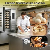 Armoire de Fermentation Commerciale Kolice 10 Plateaux 23.62x15.75 Pouces, Équipement de Boulangerie en Acier Inoxydable