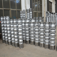 Pompe à eau submersible OEM en acier inoxydable, moteur triphasé, tension et débit/tête personnalisables pour applications de refroidissement industriel