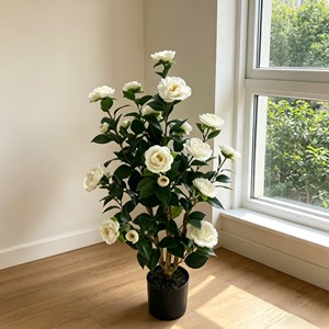 Camélia blanc neige élégant et délicat, aux pétales volumineux et superposés, idéal pour la décoration de banquets, les vitrines, les chambres et les jardins. - Product Image 3