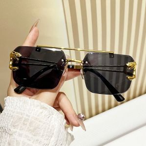 Occhiali da Sole Unisex NYY Best Seller con Montatura Rettangolare Senza Bordi, Doppio Ponte e Testa di Leopardo, Occhiali da Sole Trendy per Uomo - Product Image 3