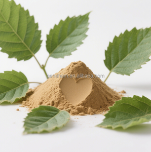 Toptan 1-DNJ 1% gıda sınıfı dut yaprağı ekstresi HACCP sertifikalı özel etiket ambalaj tozu formu bitki özü ürün - Product Image 2
