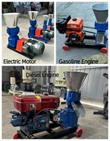 Machine à granulés d'aliments pour animaux de haute capacité, robuste, électrique, diesel, automatique, neuve, en acier inoxydable, pour poissons, poulets, volailles