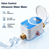 Compteur d'eau intelligent à ultrasons IP68 avec vanne en laiton DN15 DN20 NB-IoT RS485 Modbus LoRaWAN sans fil AMR