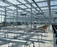 Serre agricole en verre commercial avec système hydroponique pour tomates, projet clé en main
