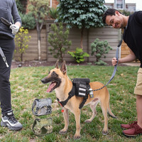 Harnais tactique réglable en nylon pour chien, respirant, à libération rapide, avec clip frontal et boucle de cou, réfléchissant, gilet solide pour animaux de compagnie, pour l'extérieur