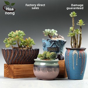 Maceta para Suculentas, Adornos Creativos para Decoración del Hogar, Venta al por Mayor, Jardinería, Tronco Antiguo, Plantas Verdes, Plantas en Maceta, Bonsái, Elegante - Product Image 1