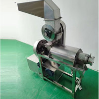 Industriële Gembersap Extractie Tomaat Knijp Ananassap Maken Machine