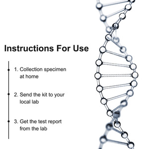 Kit de test ADN pour chiens et animaux de compagnie pour l'identification de la race avec écouvillon floqué certifié CE, kit de collecte d'ADN <span class=keywords><strong>animal</strong></span> pour usage domestique - Product Image 3