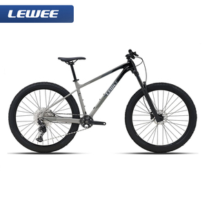 Bicicleta de Montaña <span class=keywords><strong>XC</strong></span> de Aluminio de 29 Pulgadas, 12 Velocidades, Frenos de Disco Hidráulicos, MTB OEM - Product Image 1