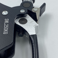 Support de scène robuste en aluminium 250 kg avec pince autoportante à déverrouillage rapide pour tubes de 45-60 mm, idéal pour projecteurs LED mobiles et DJ
