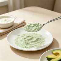 Snel oplossende spraygedroogde instant avocado-sappoeder, fijnmazig, grondstof voor de voedingsindustrie