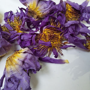 500g/paquet Thé de lotus bleu séché entier à l'odeur parfumée Nymphaea Calliantha Conard Fleurs - Product Image 6