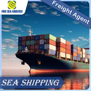 Professional Marine Shipping logistics 20ft/40ft containers transport door to door service from China to Dubai