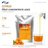 Jus Concentré Purée Qualité Export 1kg x 12 Sachets Carton 10 Saveurs pour Marques Internationales de Bubble Tea
