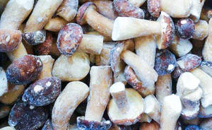 IQF Frozen <span class=keywords><strong>Boletus</strong></span> <span class=keywords><strong>Edulis</strong></span> - <span class=keywords><strong>Boletus</strong></span> entero corte <span class=keywords><strong>Boletus</strong></span> - Product Image 3