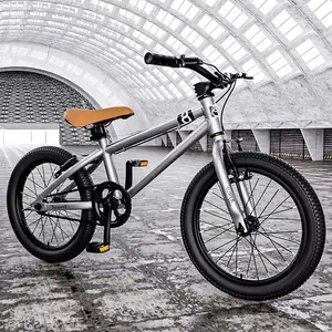 OEM pas cher 20 pouces sport rue freestyle vélo 20 <span class=keywords><strong>bmx</strong></span> vélos bicicleta <span class=keywords><strong>bmx</strong></span> - Product Image 1