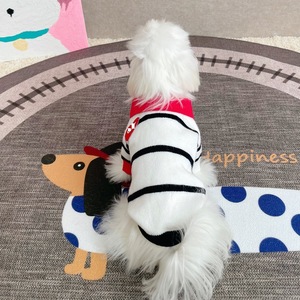 Ropa para Mascotas, Suéter de Punto a Rayas para Perros y Gatos, Todas las Temporadas, <span class=keywords><strong>Schnauzer</strong></span>, Yorkshire, Bichón Frisé, Perros Pequeños y Medianos, Venta al Por Mayor - Product Image 4