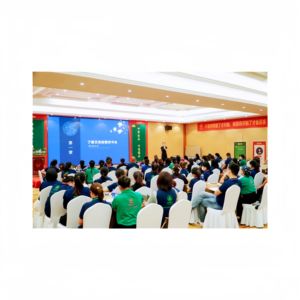 LING AI SI JI, première marque de Moxibustion en Chine, recrute des agents et partenaires exclusifs pour le marché international - Product Image 6