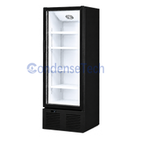 Congélateur vertical à dégivrage automatique, porte vitrée, refroidissement par air, éclairage LED, congélation profonde, pour café