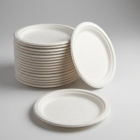 Assiettes jetables écologiques en bagasse de canne à sucre de 7 pouces, compostables et biodégradables, pour les fêtes (vente en gros)