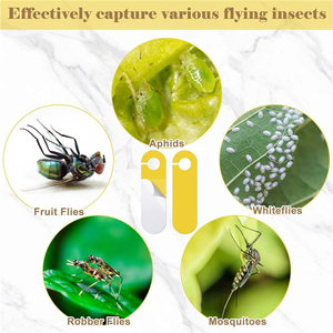 Wholesale Custom Yellow Double Sided Sticky <b>Board</b> Fruit Fly Glue Trap Insect Catcher for Farm Orchard Safe - Product Image 6