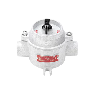 Interrupteur anti-explosion blanc Interrupteur électrique multifonctionnel Interrupteur à bouton anti-explosion - Product Image 5