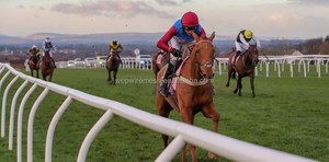 Bên ngoài cưỡi Arena Trắng nhựa ngựa paddock hàng rào Ngựa chạy hàng rào DIY ngựa Arena paddock hàng rào - Product Image 4