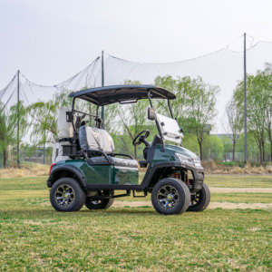 Produits les plus vendus, Fournitures les plus vendues, Chariot de golf très demandé - Product Image 3