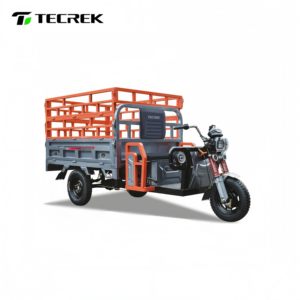 Tricycle ouvert polyvalent TECREK avec une charge utile de 400 kg et une autonomie de 30 à 50 km - Product Image 4