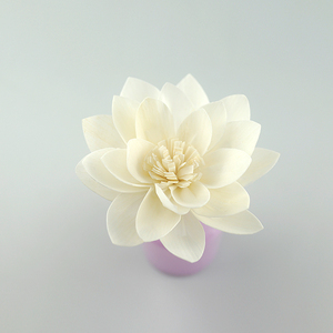 Bán buôn sen Sola gỗ hoa khuếch tán hoa với mây cho sậy khuếch tán - Product Image 1